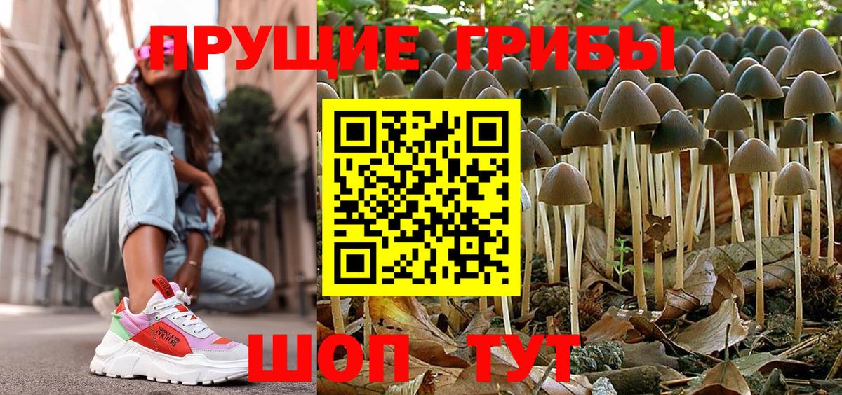 Псилоцибиновые грибы MAGIC MUSHROOMS Кропоткин